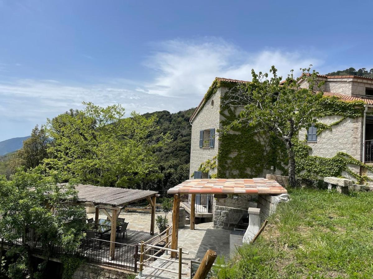 Sud-Corse Bavella Location Montagne Et Mer Sorbollano Eksteriør billede