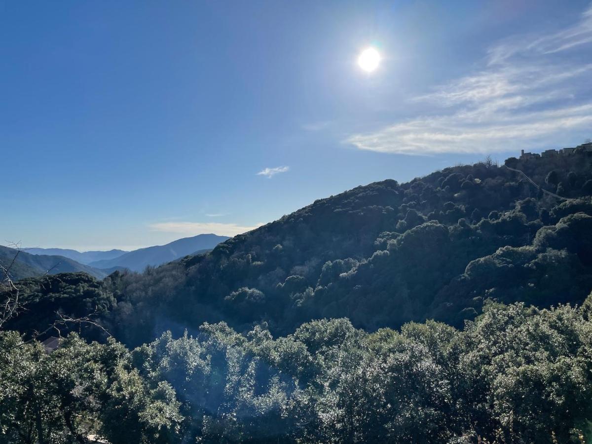 Sud-Corse Bavella Location Montagne Et Mer Sorbollano Eksteriør billede