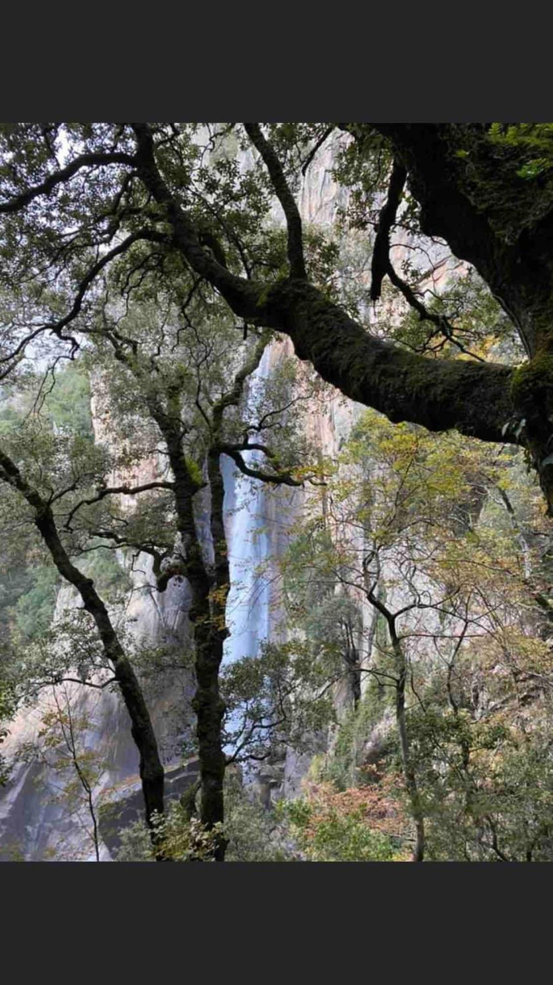 Sud-Corse Bavella Location Montagne Et Mer Sorbollano Eksteriør billede